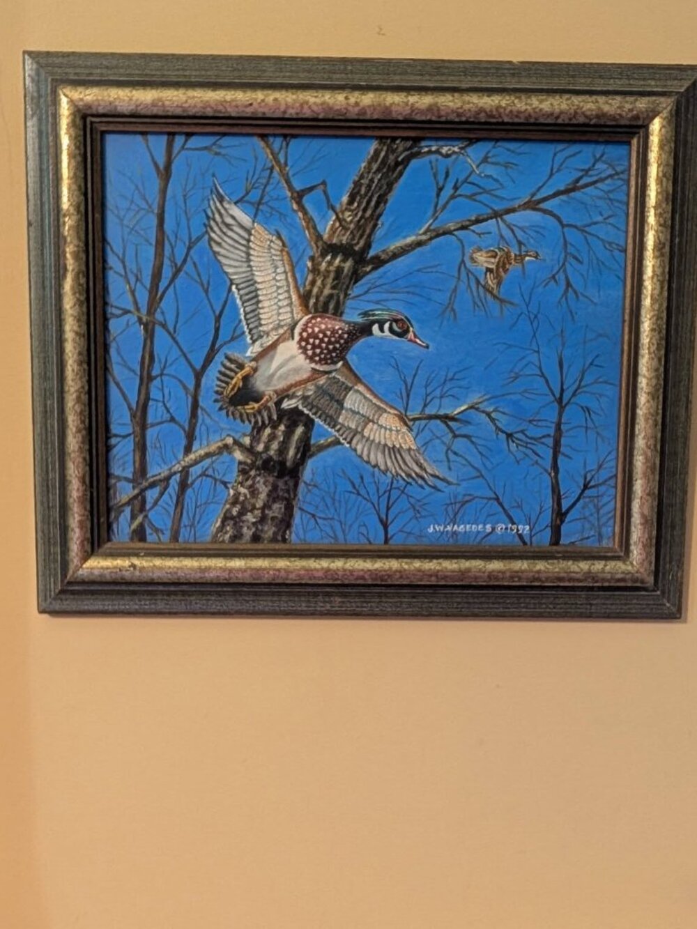 Framed Original Wood Ducks Wildlife Painting by James W. Vagedes (1992) β 11" x